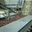 Inside a Modern Processing Plant: Automation & Food Safety Culture